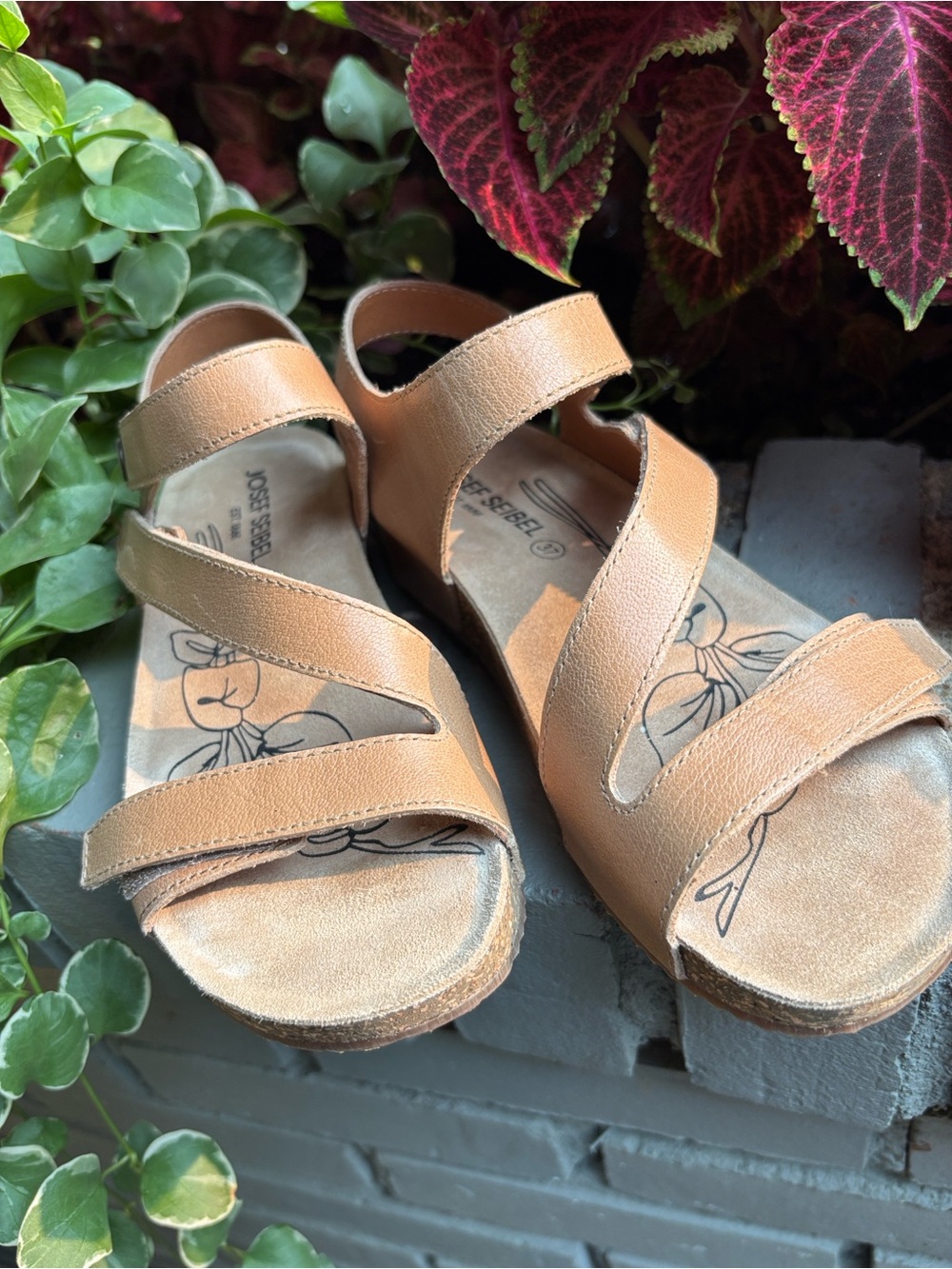 Josef Seibel Tonga 25 Leather Sandals Contoured Cork Adjustable Straps 78519 - Picture 12 of 12